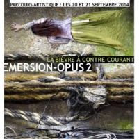 parcours artistique original : la Bièvre à contre-courant. Du 20 au 21 septembre 2014 à Arcueil. Val-de-Marne. 